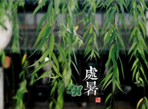 2017處暑還熱嗎？2017處暑后天氣還熱嗎？