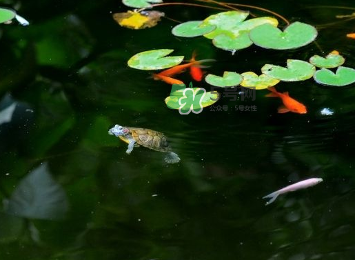 2017處暑還熱嗎？2017處暑后天氣還熱嗎？