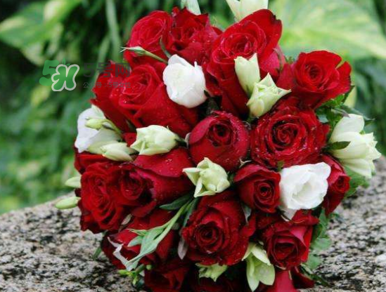 2017處暑結(jié)婚好嗎？2017處暑可以結(jié)婚嗎？