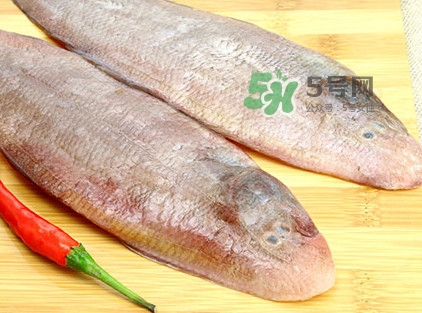 寶寶多大能吃龍利魚？幾個月的寶寶可以吃龍利魚