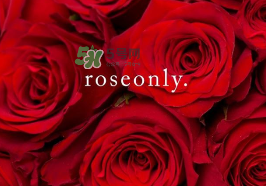 2017七夕禮盒roseonly多少錢？roseonly巨型玫瑰禮盒多少錢？