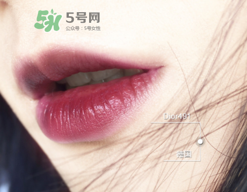 迪奧唇釉491試色 迪奧染唇液491試色圖 迪奧唇釉491試色 迪奧染唇液491試色圖