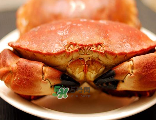 面包蟹一只多少斤？面包蟹一只多少錢？