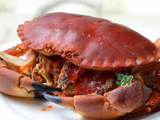 面包蟹一只多少斤？面包蟹一只多少錢？