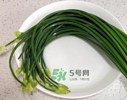 吃韭菜苔回奶嗎？韭菜苔和蒜苗是一回事嗎