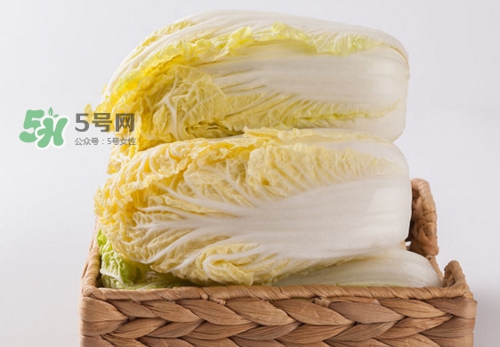 娃娃菜是什么季節(jié)的？娃娃菜什么時候種植