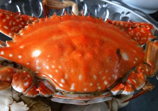 梭子蟹可以清蒸嗎？梭子蟹蒸還是煮？