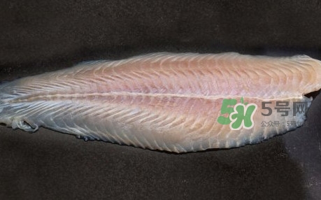 龍利魚是淡水魚嗎？龍利魚是巴沙魚嗎