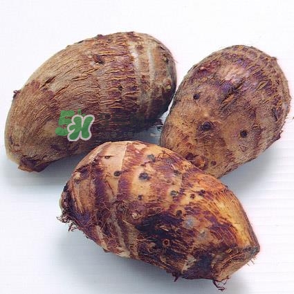 中秋節(jié)為什么吃芋頭？中秋節(jié)吃芋頭的來源