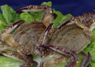 梭子蟹放冷藏能活多久？梭子蟹放冷凍保存多久？