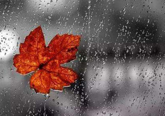 2017處暑會下雨嗎？處暑會下雨好嗎？