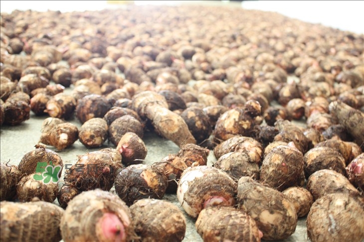 中秋節(jié)為什么吃芋頭？中秋節(jié)吃芋頭的來源