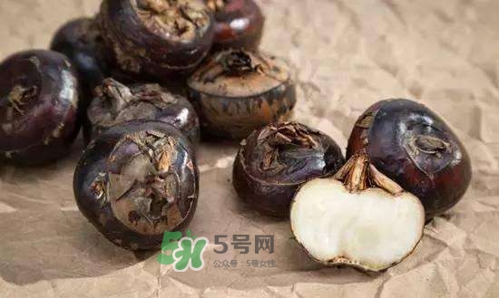 野荸薺是什么樣子的？野荸薺的營養(yǎng)價值