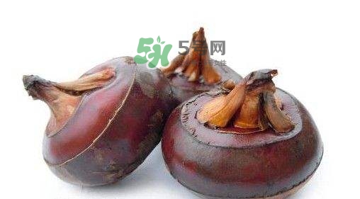 野荸薺怎么吃？野荸薺的食用功效