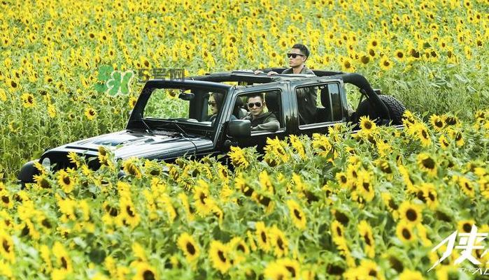 俠盜聯(lián)盟張丹開的越野車什么牌子？俠盜聯(lián)盟劉德華開的什么車？