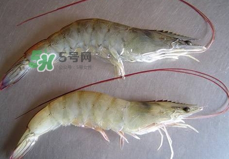 太湖白蝦多少錢一斤？太湖白蝦干多少錢一斤