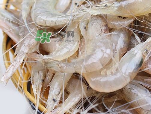 白蝦是河蝦還是海蝦？白蝦是寒性的嗎
