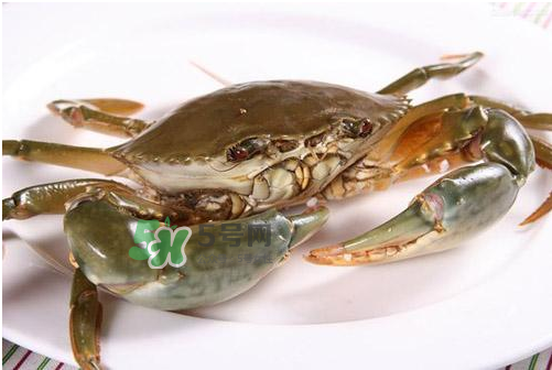 青蟹可以冷凍嗎？青蟹冷凍了還可以吃嗎？