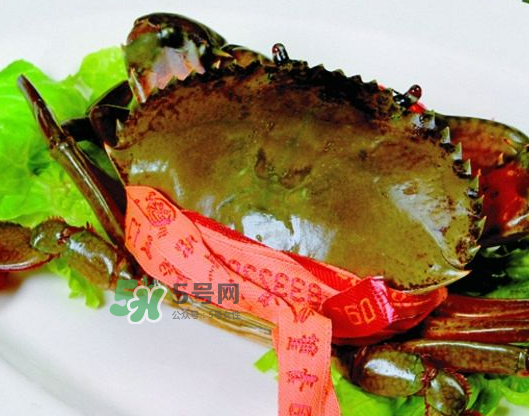 青蟹能放幾天？青蟹能活多久？