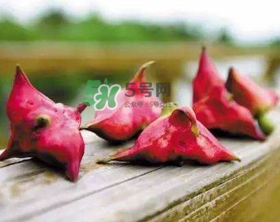 紅菱什么時候上市？什么時候采紅菱