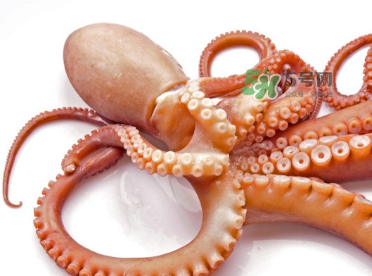 章魚頭里的墨汁可以吃嗎？章魚的墨汁好吃嗎