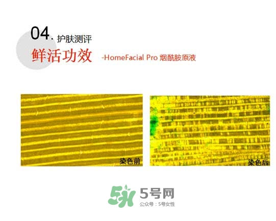 homefacialpro煙酰胺原液怎么樣？hfp煙酰胺原液好用嗎