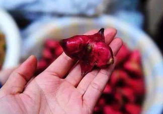 紅菱怎么吃？吃紅菱有什么好處？