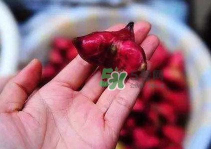 紅菱怎么吃？吃紅菱有什么好處？