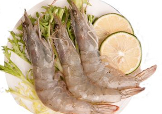 白蝦是河蝦還是海蝦？白蝦是寒性的嗎