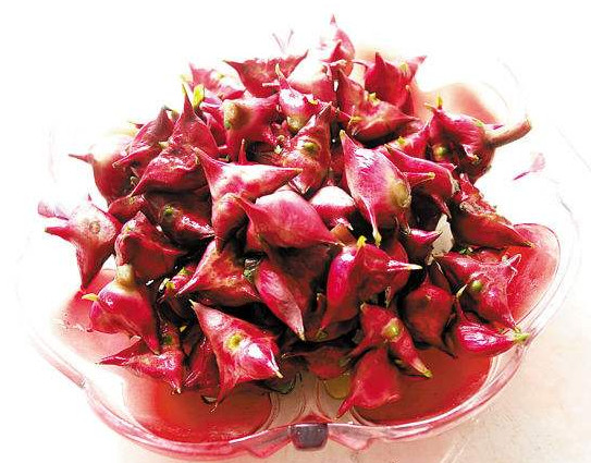 紅菱多少錢一斤？菱角嫩的好吃還是老的好吃？