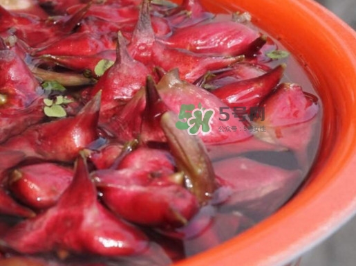 紅菱什么時候上市？什么時候采紅菱