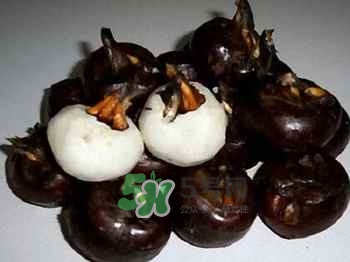 荸薺有寄生蟲(chóng)嗎？荸薺有什么藥用價(jià)值？