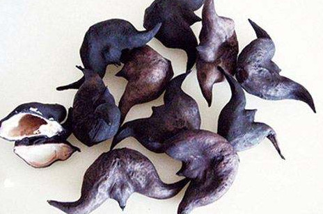 紅菱多少錢一斤？菱角嫩的好吃還是老的好吃？