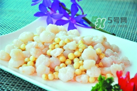 怎么辨別荸薺粉的真假？荸薺粉哪個(gè)牌子的好