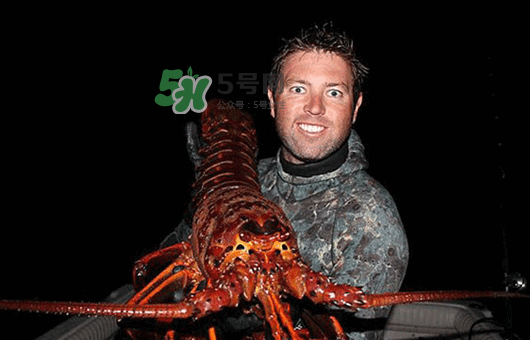 七彩神蝦多少錢一斤？七彩神蝦估值