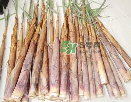 苦筍是什么竹子？苦筍是發(fā)物嗎