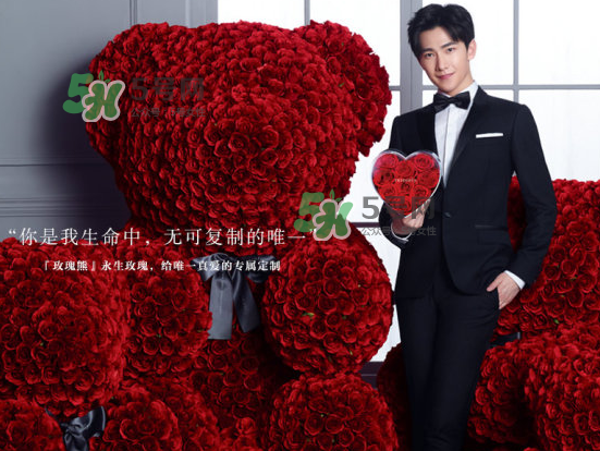 roseonly熊怎么樣？roseonly玫瑰熊好看嗎？