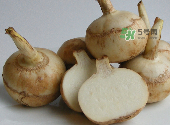 慈姑是什么？慈姑是水生植物嗎