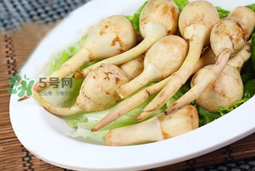 慈姑什么時候種植？慈姑什么時候上市