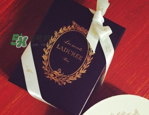 miss rudolf怎么樣？miss rudolf是什么牌子？