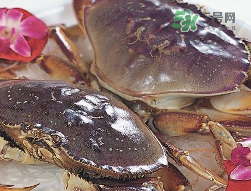 太子蟹好吃還是面包蟹好吃？太子蟹和面包蟹的區(qū)別