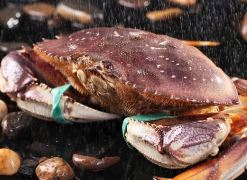 太子蟹多少錢一斤？太子蟹多少錢一只？