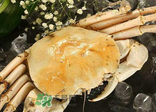 雪蟹多少錢一斤？雪蟹多少錢一只？