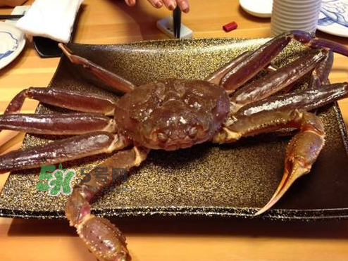 雪蟹多少錢一斤？雪蟹多少錢一只？