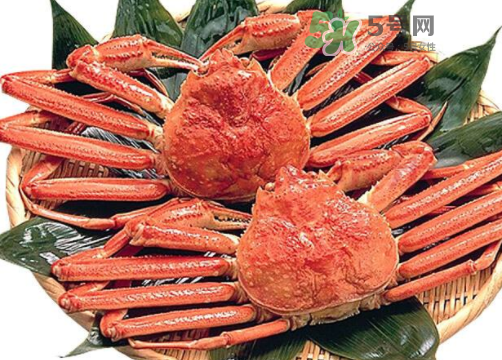 雪蟹多少錢一斤？雪蟹多少錢一只？