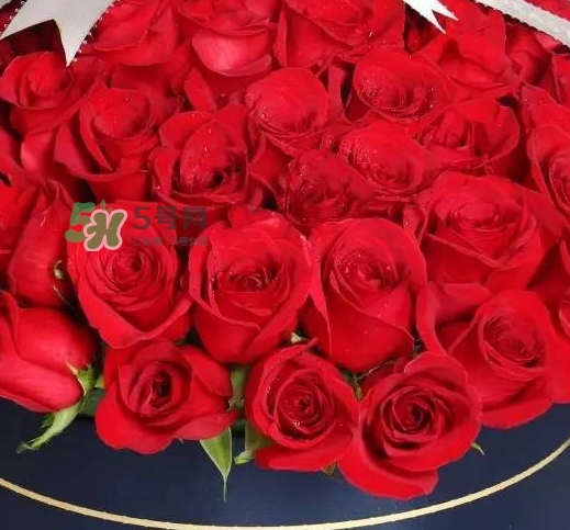 野獸派2017七夕禮盒有哪些？野獸派2017七夕禮盒價(jià)格