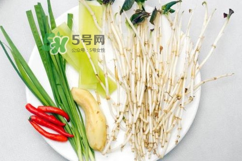 魚(yú)腥草用開(kāi)水泡可以嗎？魚(yú)腥草用量多少克？