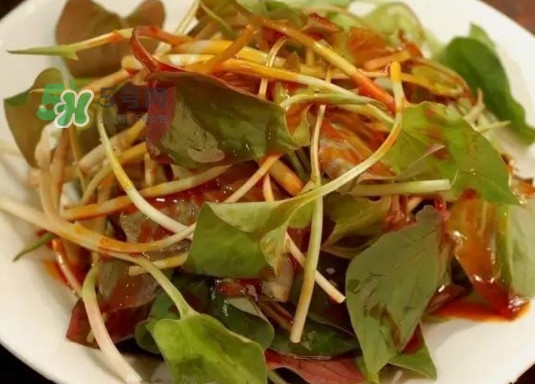 魚腥草多少錢一斤？干的魚腥草多少錢一斤