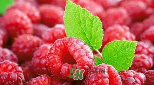 pola莓果酵素怎么吃？pola紅莓酵素怎么樣？