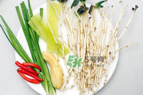 魚腥草什么季節(jié)有？魚腥草什么時(shí)候采摘最好